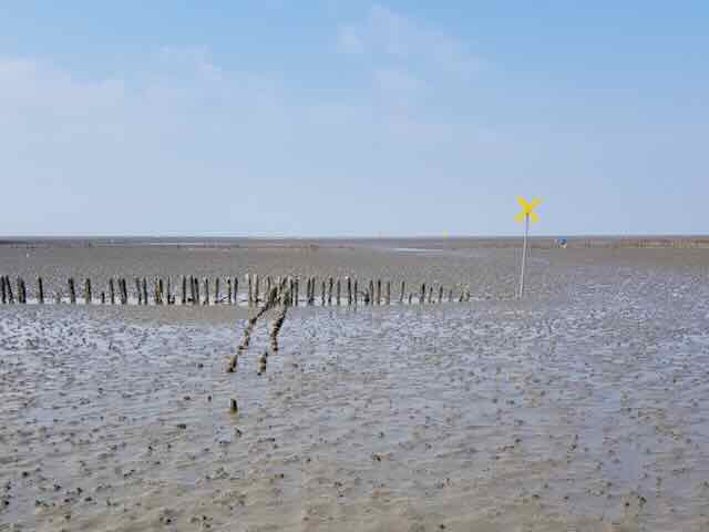 Wattenmeer